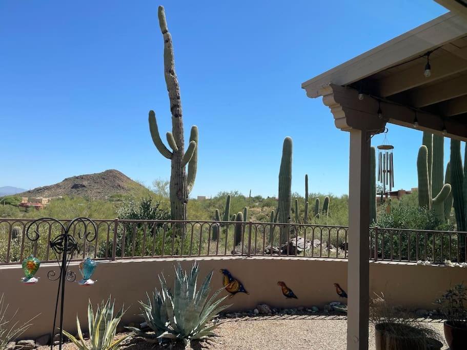 Вілла Tucson Mnt Foothills Saguaro Bliss Екстер'єр фото