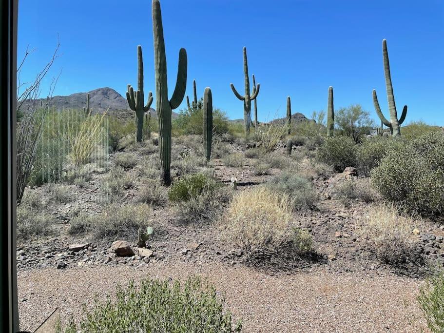 Вілла Tucson Mnt Foothills Saguaro Bliss Екстер'єр фото
