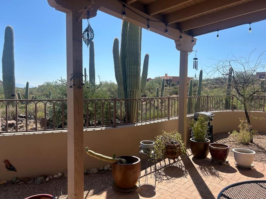 Вілла Tucson Mnt Foothills Saguaro Bliss Екстер'єр фото